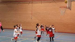 Fotografías 1/12/2023 (Baloncesto Pre-benjamín)